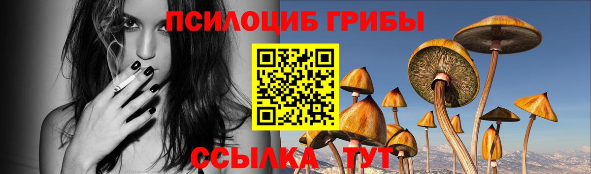 Псилоцибиновые грибы Cubensis  Вход с VPN  Псилоцибиновые грибы Psilocybine cubensis  Новочебоксарск 